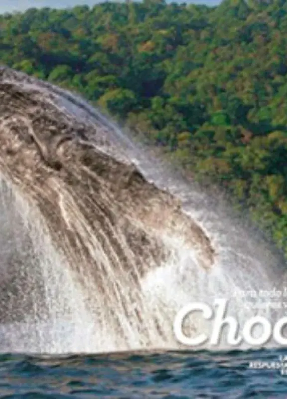 Chocó Nuqui Chocó Nuqui