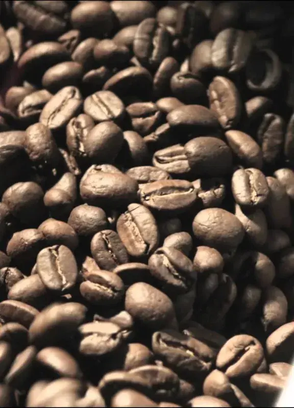 Canción-Colombia Canción-Colombia