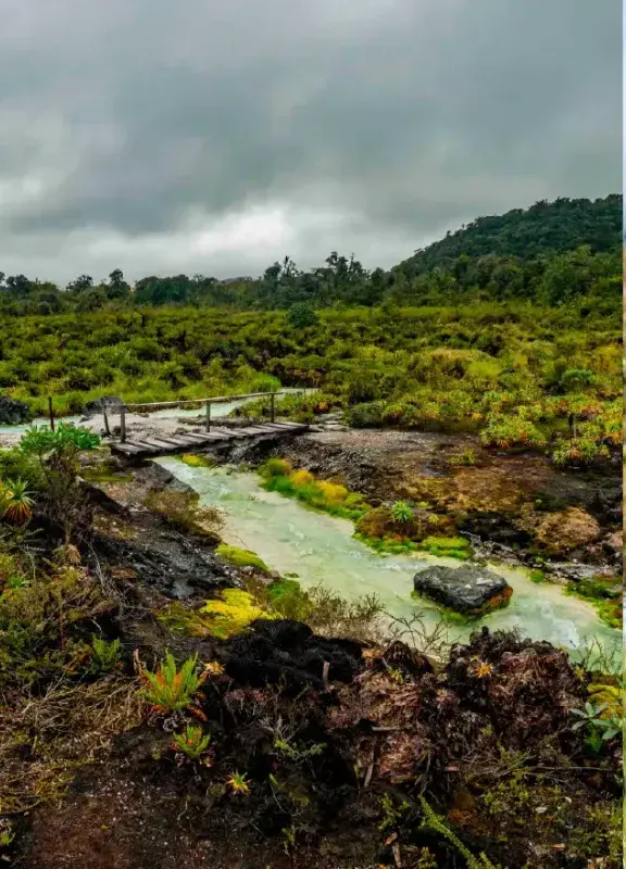Colombia moorlands Colombia moorlands