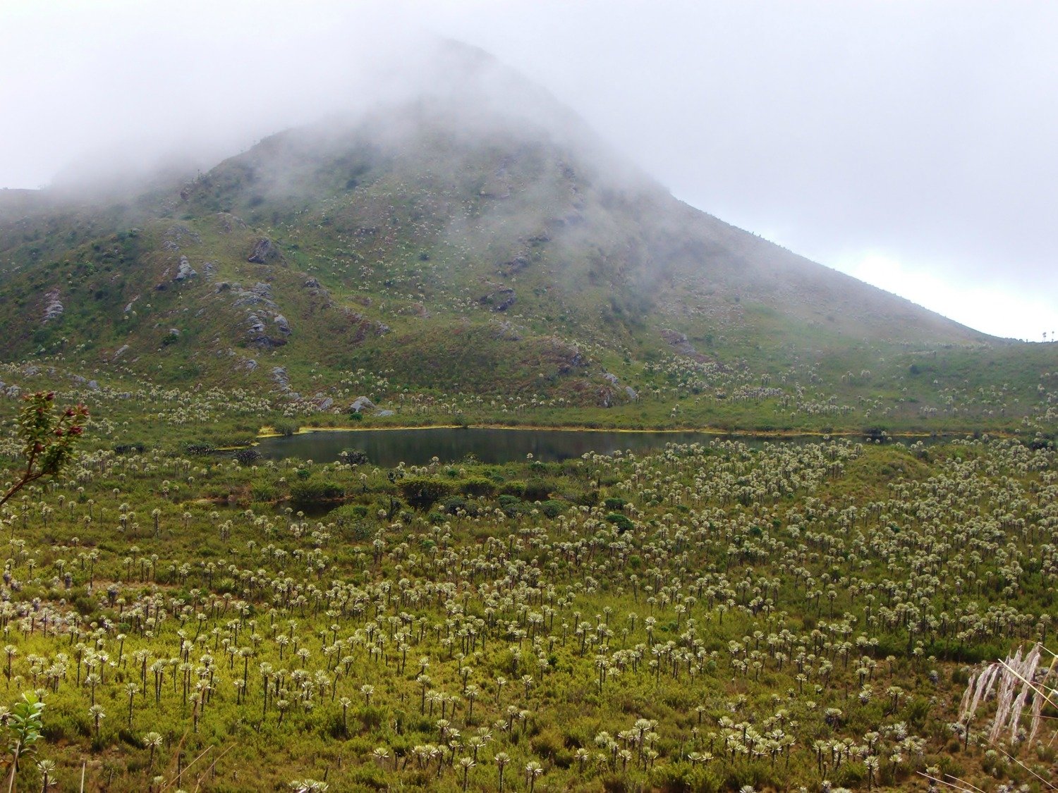 Mountain, Colombian Mountain, Environment, Ecologism