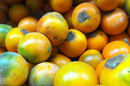 yellow lulos, a citrus-like fruit grown in Colombia