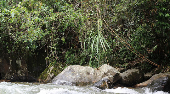 Pance, Valle del Cauca, Pance River, places to camp in Colombia