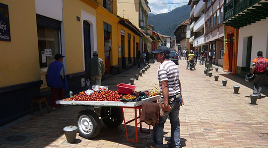 Chontaduro, exotic fruit and aphrodisiac from colombia