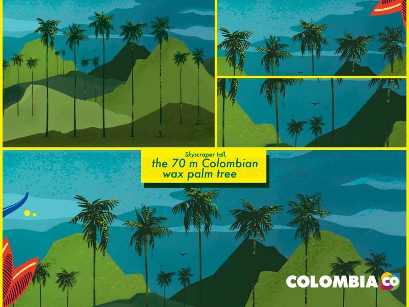 Colombia’s biodiversity, second in plant species on earth | Colombia Country Brand