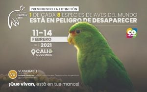Colombia BirdFair 2021