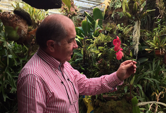 Orquídeas en Colombia