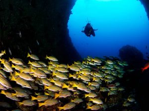 Buceador en una cueva marina en Malpelo.