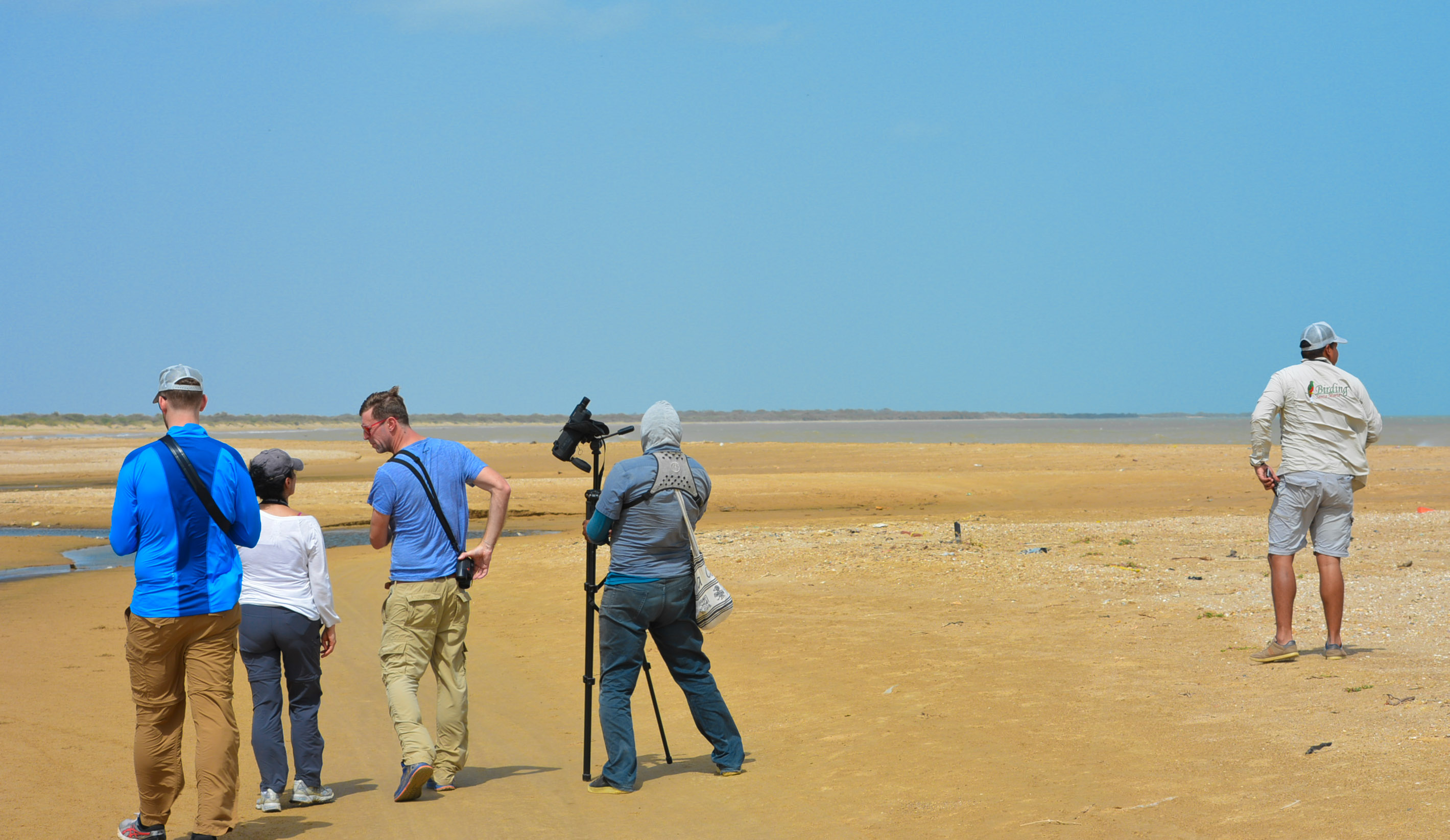 aves colombianas, avistamiento de aves en colombia