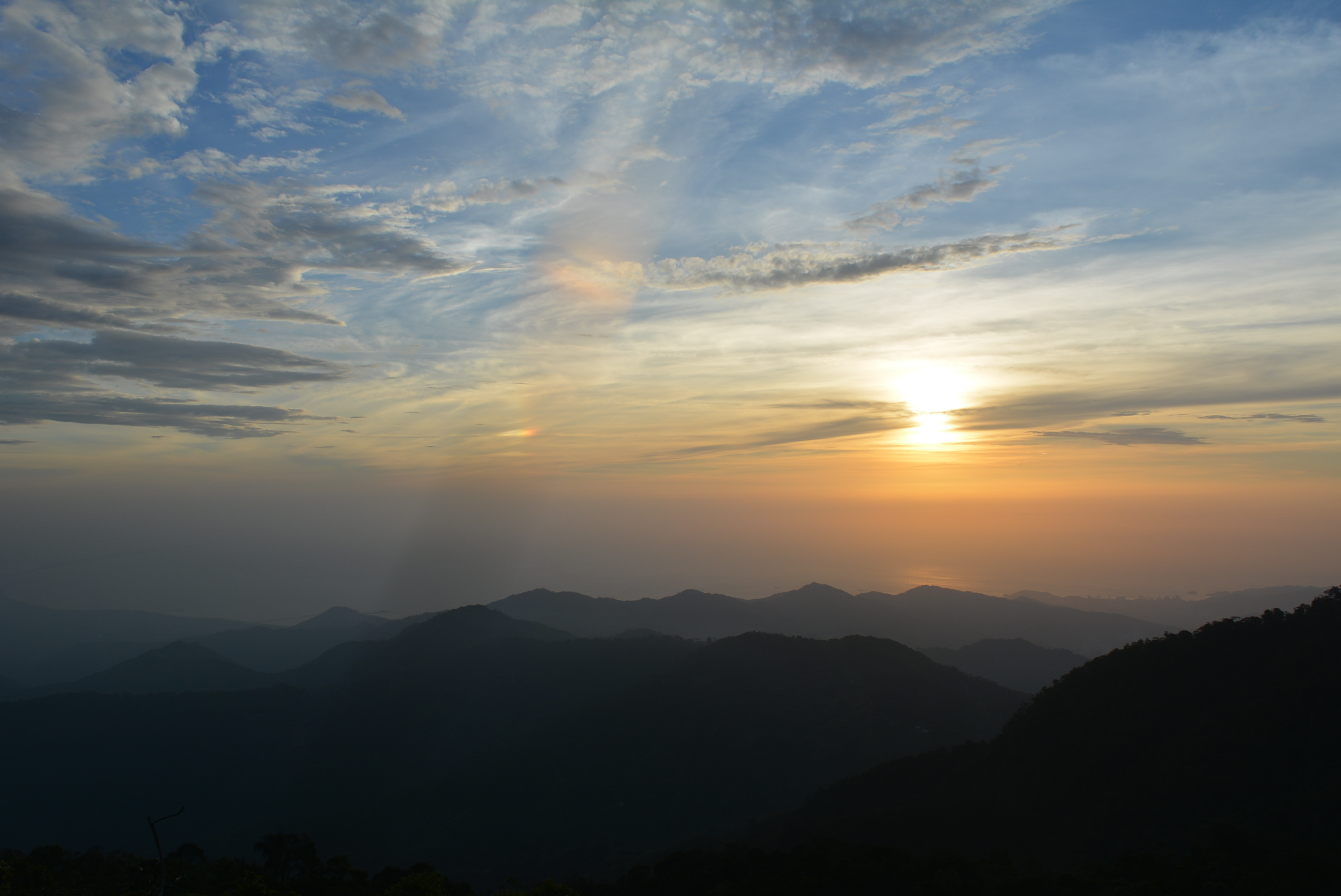 aves colombianas, avistamiento de aves en colombia