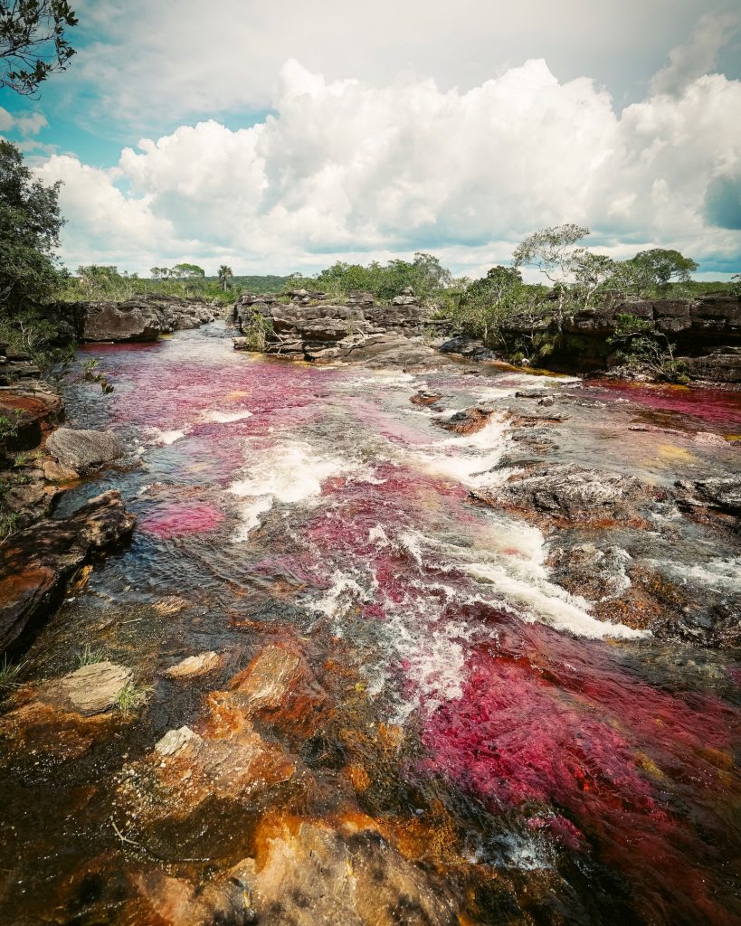 Alan por el Mundo visitó Caño Cristales, Colombia Alan por el Mundo visitó Caño Cristales