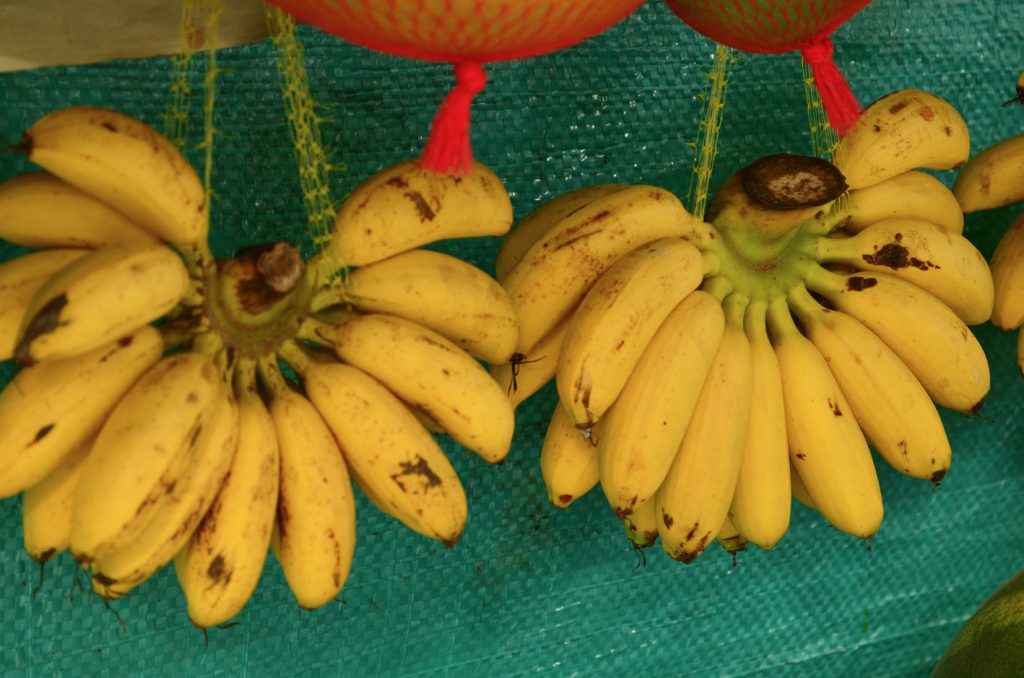 musa acuminata, banano colgado de racimo, banano bocadillo, Banano, banana, potasio, trucos de belleza, frutas colombianas
