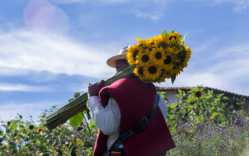 A local flower grower in Medellin | Colombia Country Brand