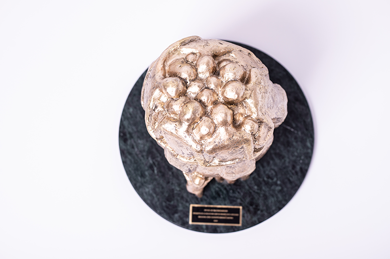 The contemporary work of art that will be in the Vatican gardens - The Ritual of Reconciliation observed from above | Colombia Country Brand