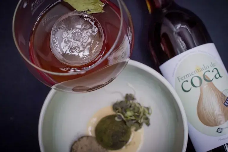 Bebida fermentado de coca, Bebidas artesanales Colombia