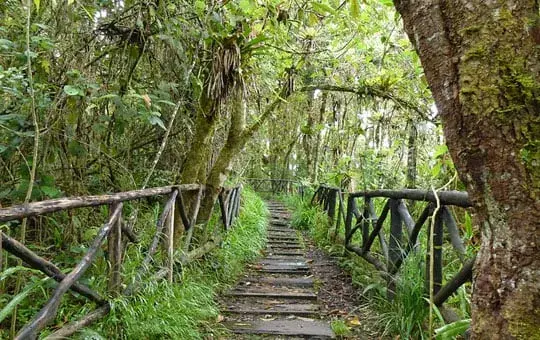 Laguna de la Cocha, Mocoa