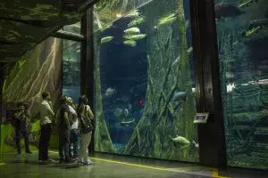 People visiting the aquarium at Parque Explora in Medellin.