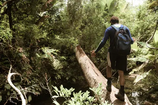 Caño Cristales, paisajes de Colombia, lugares únicos, turismo en Colombia, turismo
