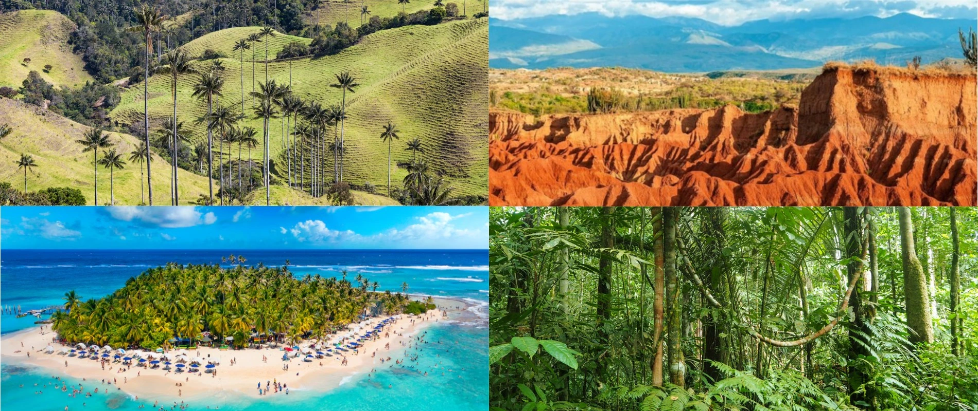 Ecosystems of Colombia: forests, paramos, deserts, and beaches