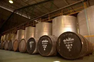 Barricas y tanques de acero inoxidable en bodega de almacenamiento de vino.