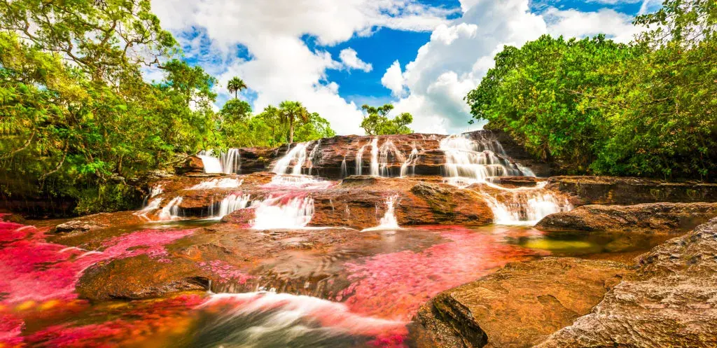 Caño cristales, el río de los siete colores Caño cristales, el río de los siete colores
