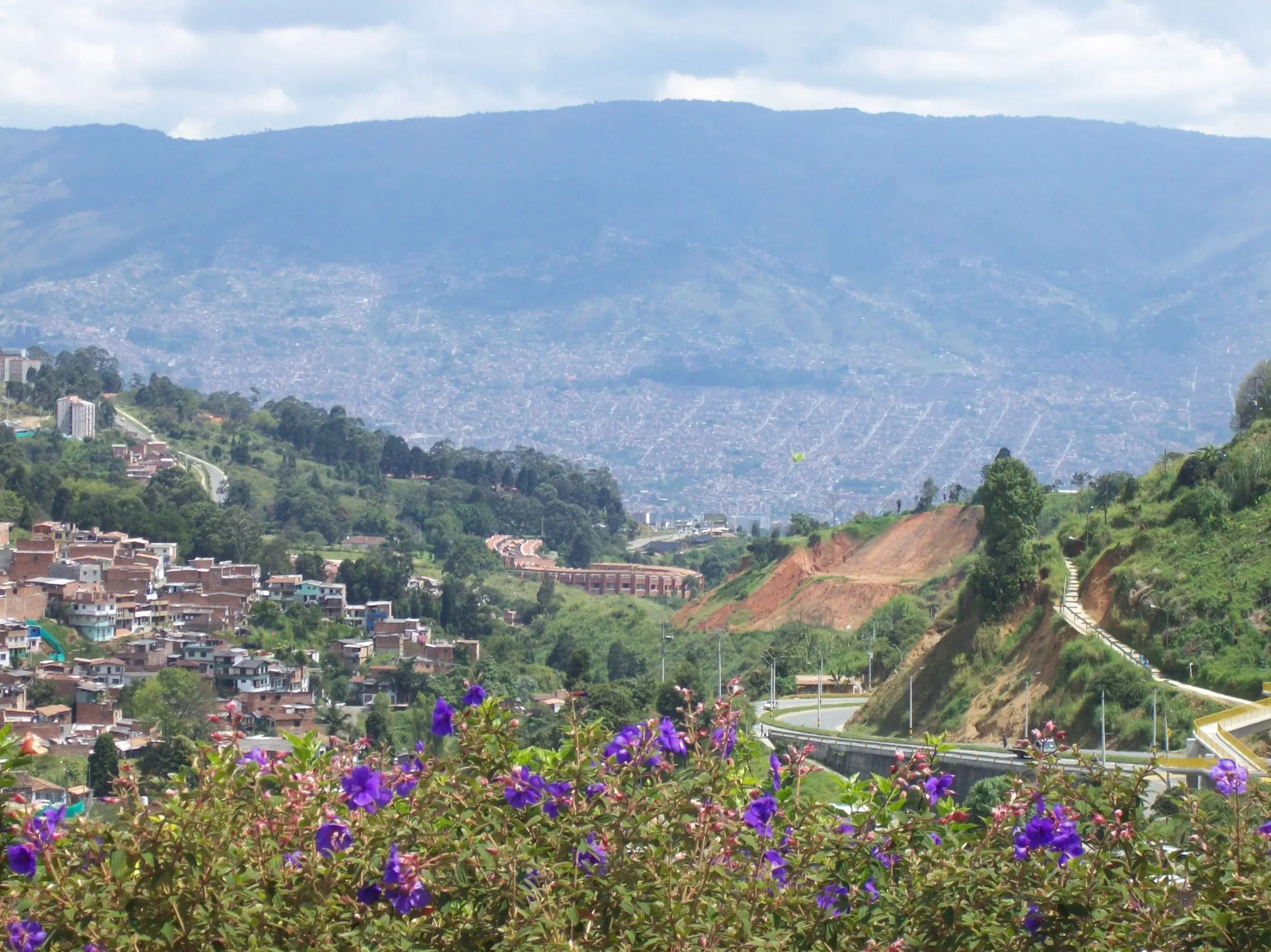 Carretera en Medellín con flores y montañas al fondo