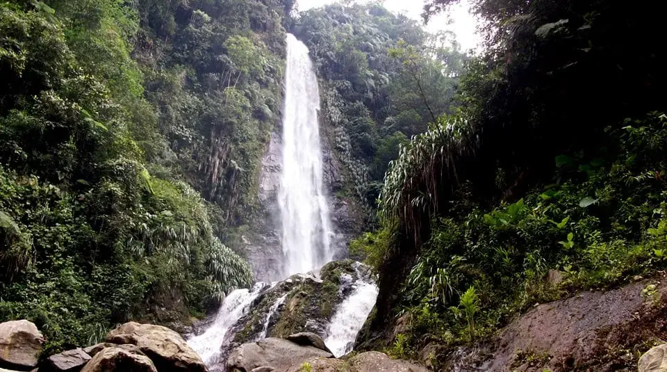 Cascada La Moral entre vegetación.