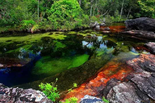 Caño Cristales, Colombia, maravillas naturales, paisajes colombia, paisajes colombianos