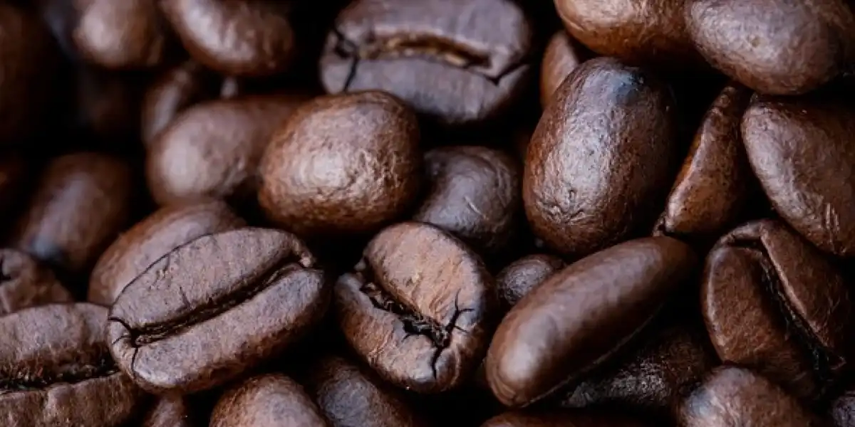 Granos de café