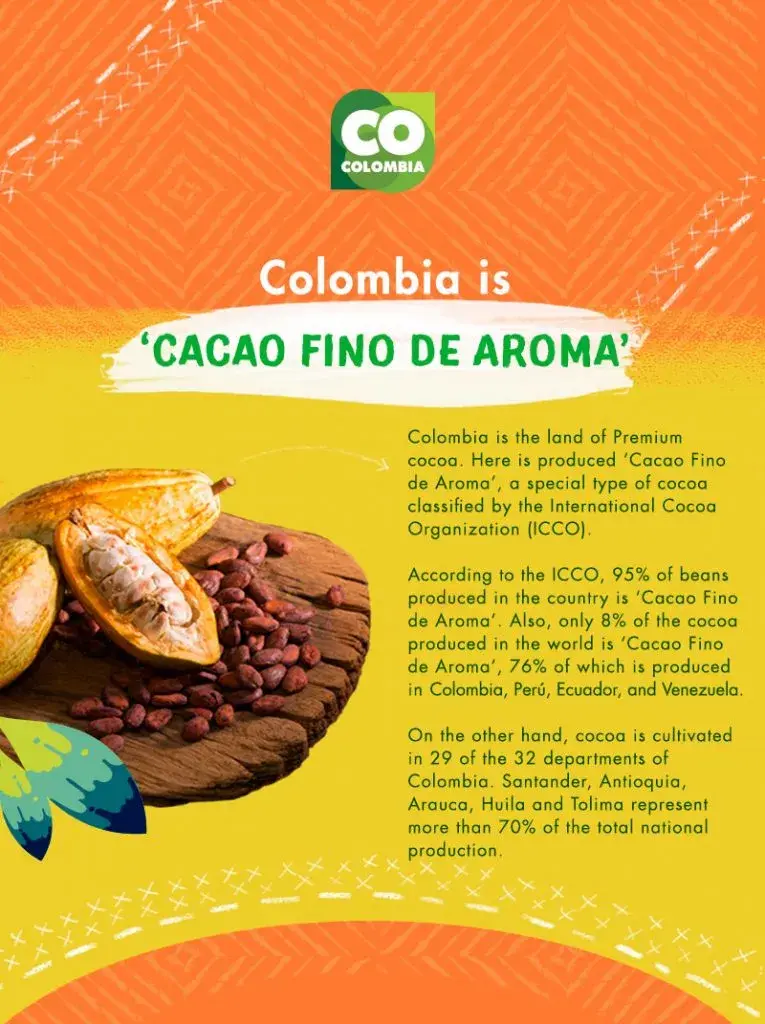 Infographic “Colombia is Cacao Fino de Aroma” with text on production and regions.