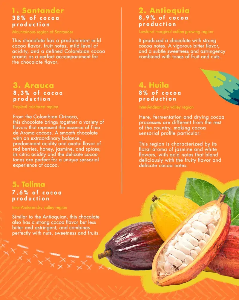 Infographic detailing cocoa production in five regions of Colombia: Santander, Antioquia, Arauca, Huila and Tolima.