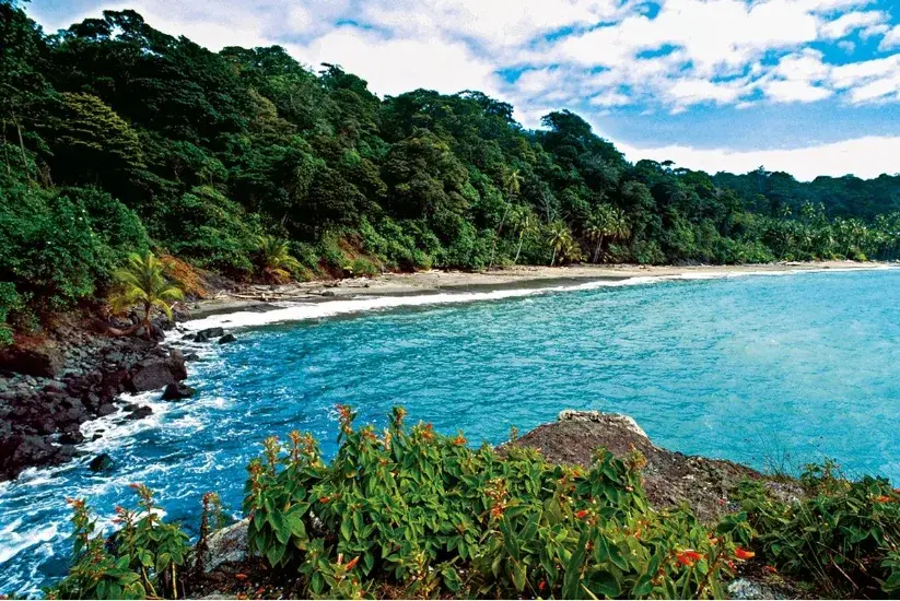 Isla Gorgona, Cauca