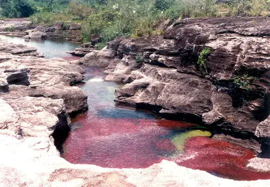 Caño Cristales, paisajes de Colombia, lugares únicos, turismo en Colombia, turismo
