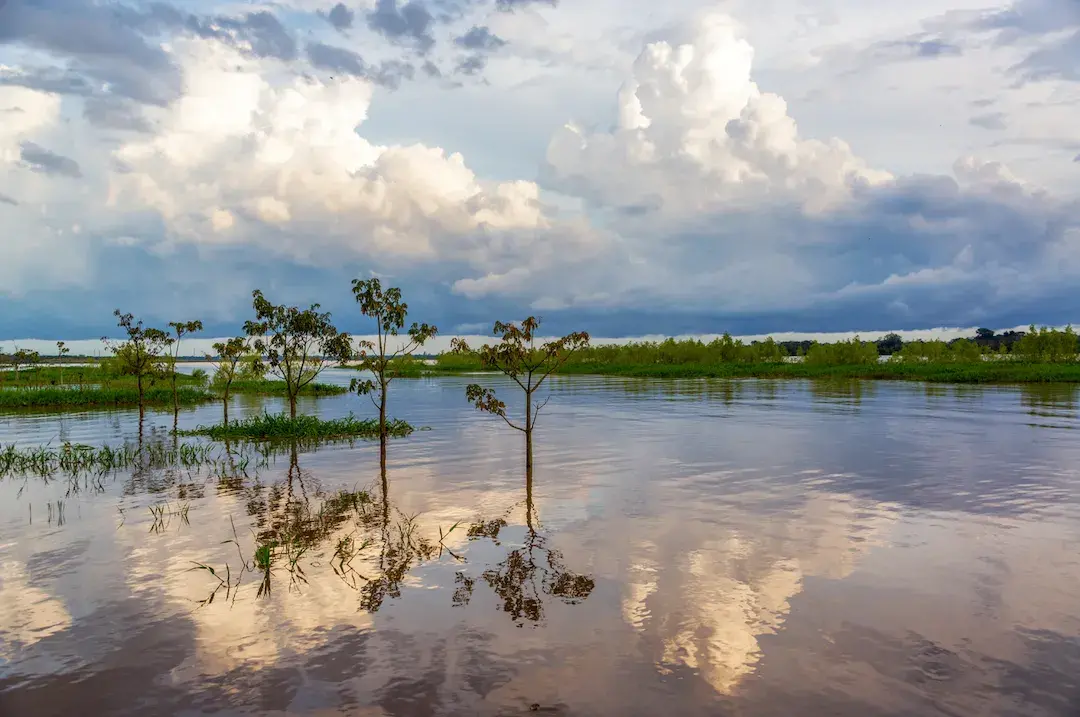 Paisaje amazónico en Leticia, Colombia, con vegetación exuberante y río