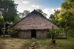 Maloca tradicional con techo de paja en la selva.