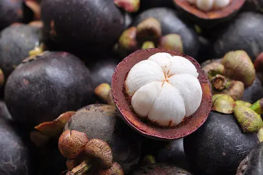 Purple mangosteens and one cut in half showing white flesh.