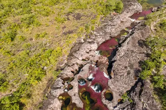 Caño Cristales, paisajes de Colombia, lugares únicos, turismo en Colombia, turismo