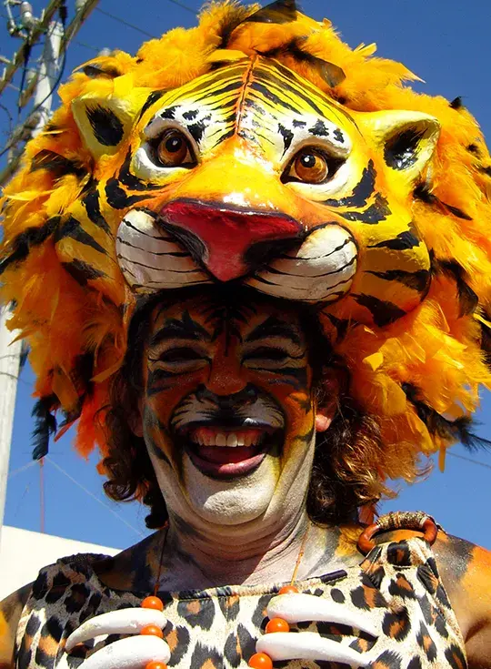 Person disguised as a tiger smiling outdoors.