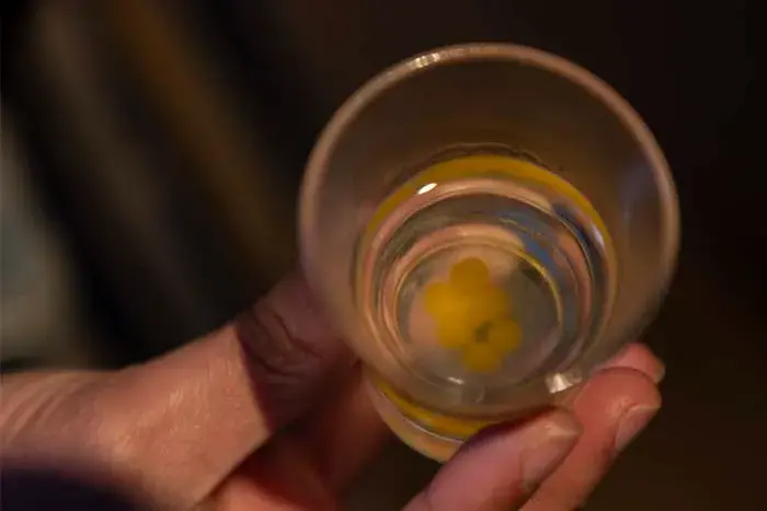 Destilado de piña con esferas de maracuyá, el aperitivo de las cenas clandestinas en Garden Flat