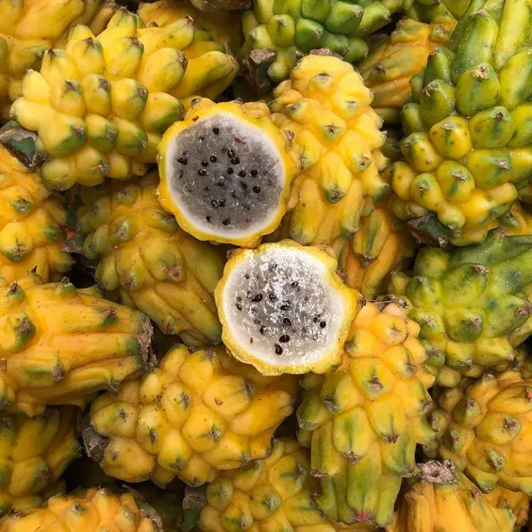 Whole yellow pitahayas and one cut in half showing white flesh with black seeds.