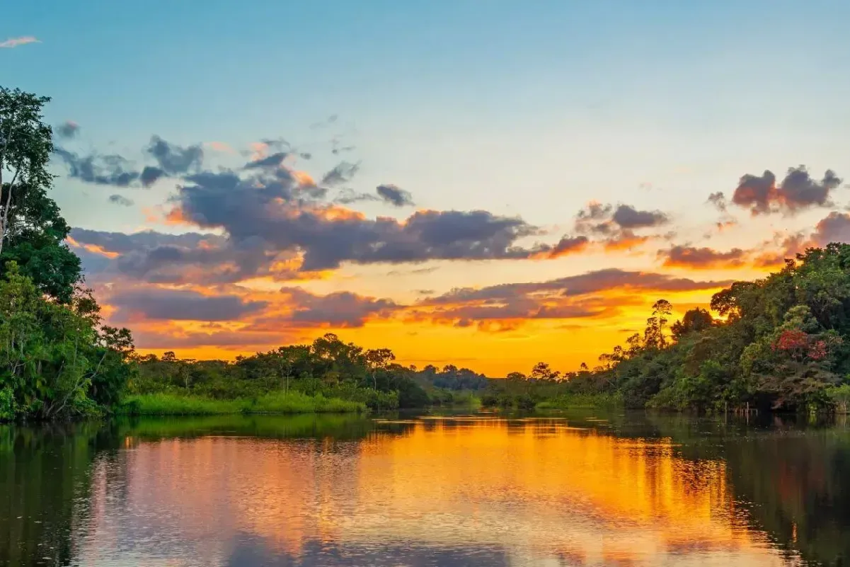 Amazon River landscape