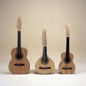 Three bandurrias of different sizes lined up.