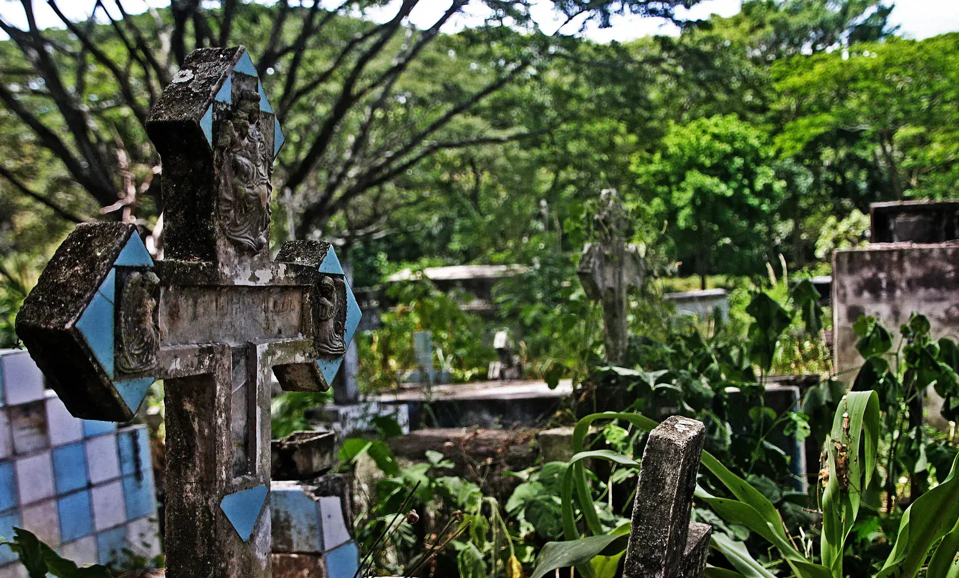 Tumbas antiguas y vegetación en un cementerio colombiano.