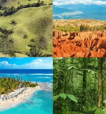 Ecosistemas de Colombia: bosques, páramos, desiertos y playas Ecosistemas de Colombia: bosques, páramos, desiertos y playas
