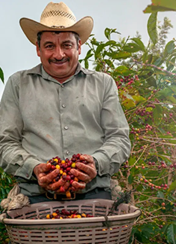 A Coffee picker selects only the best beans. Discover why Colombian Coffee is the greatest in the world Colombia Country Brand A Coffee picker selects only the best beans. Discover why Colombian Coffee is the greatest in the world Colombia Country Brand