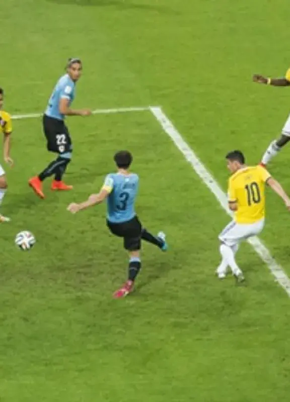 selección selección