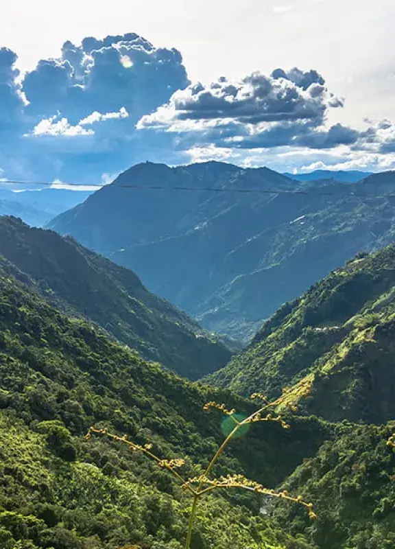 Colombians who found ways to be more eco friendly Colombians who found ways to be more eco friendly