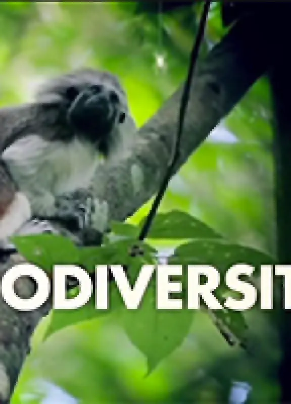 Pacific Experience Pacific Experience