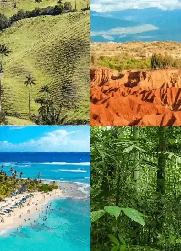 Ecosistemas de Colombia: bosques, páramos, desiertos y playas Ecosistemas de Colombia: bosques, páramos, desiertos y playas