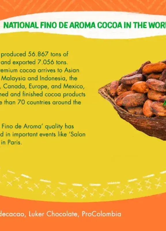Infographic of fine aroma cocoa, showing beans in a basket and text about its production and export.  Infographic of fine aroma cocoa, showing beans in a basket and text about its production and export.