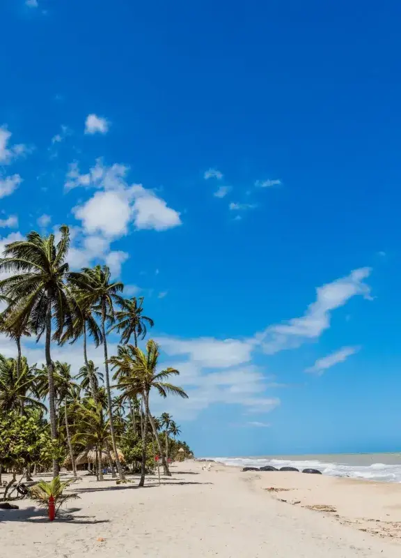 Playa de arena blanca con palmeras y cabañas en la costa Caribe Playa de arena blanca con palmeras y cabañas en la costa Caribe